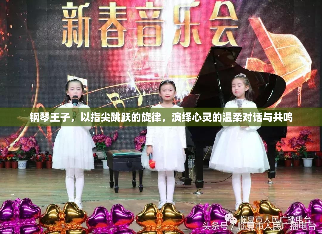钢琴王子，以指尖跳跃的旋律，演绎心灵的温柔对话与共鸣