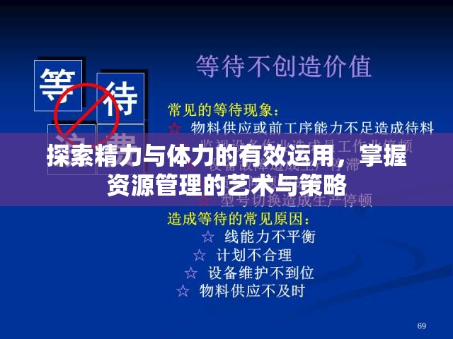 探索精力与体力的有效运用，掌握资源管理的艺术与策略
