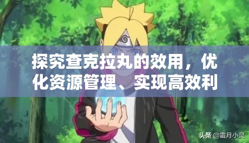 探究查克拉丸的效用，优化资源管理、实现高效利用并有效避免浪费