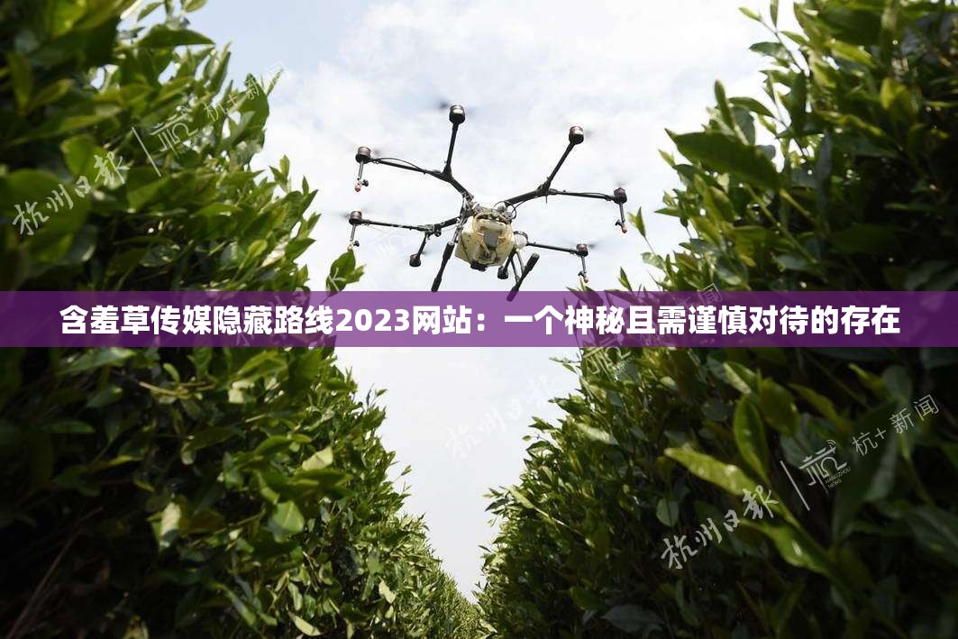 含羞草传媒隐藏路线2023网站：一个神秘且需谨慎对待的存在