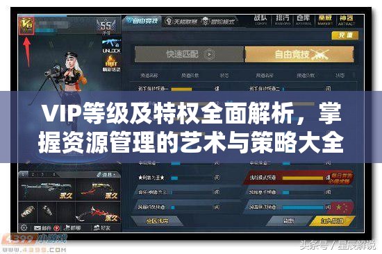VIP等级及特权全面解析，掌握资源管理的艺术与策略大全