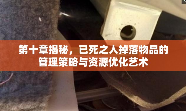 第十章揭秘，已死之人掉落物品的管理策略与资源优化艺术