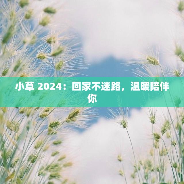 小草 2024：回家不迷路，温暖陪伴你