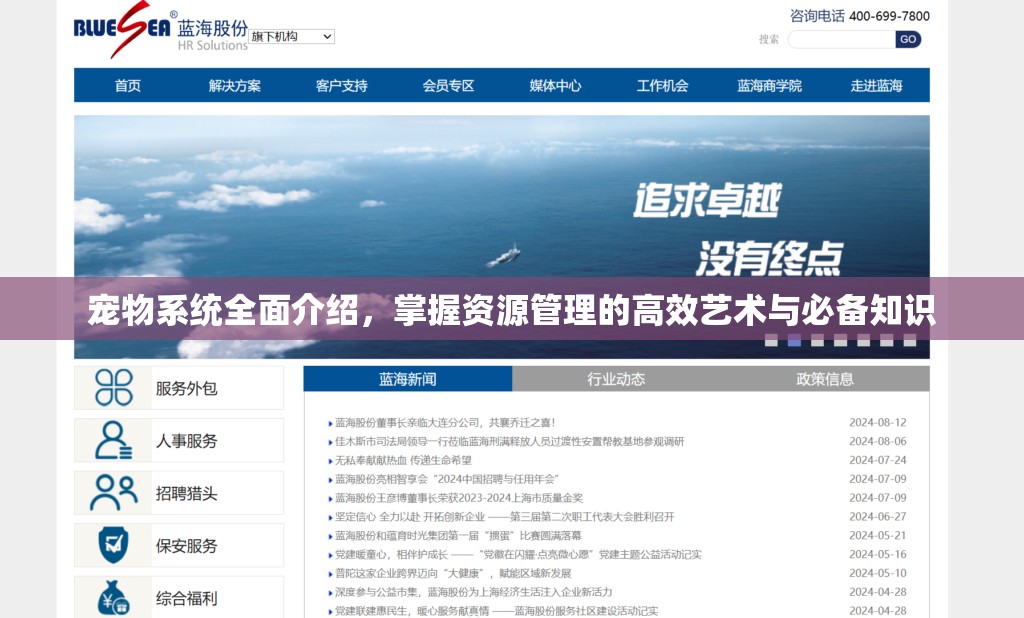 宠物系统全面介绍，掌握资源管理的高效艺术与必备知识