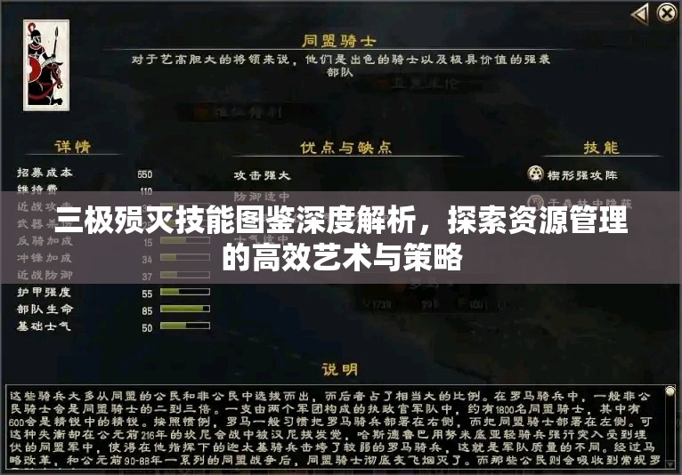 三极殒灭技能图鉴深度解析，探索资源管理的高效艺术与策略