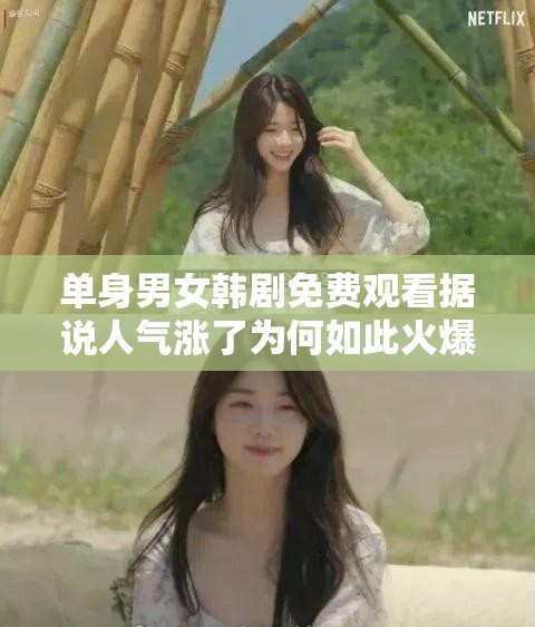 单身男女韩剧免费观看据说人气涨了为何如此火爆引人关注