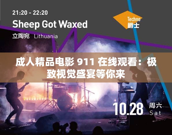 成人精品电影 911 在线观看：极致视觉盛宴等你来