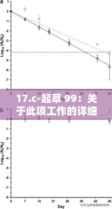 17.c-起草 99：关于此项工作的详细说明与分析