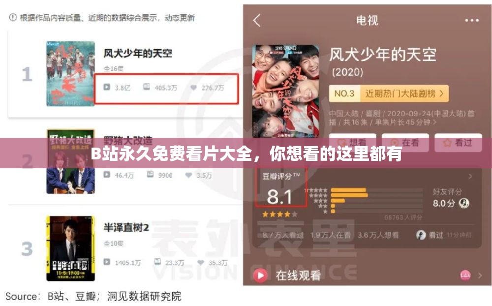 B站永久免费看片大全，你想看的这里都有
