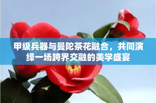 甲级兵器与曼陀茶花融合，共同演绎一场跨界交融的美学盛宴