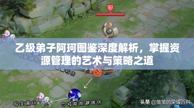 乙级弟子阿珂图鉴深度解析，掌握资源管理的艺术与策略之道