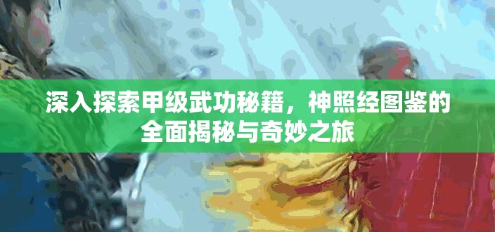 深入探索甲级武功秘籍，神照经图鉴的全面揭秘与奇妙之旅