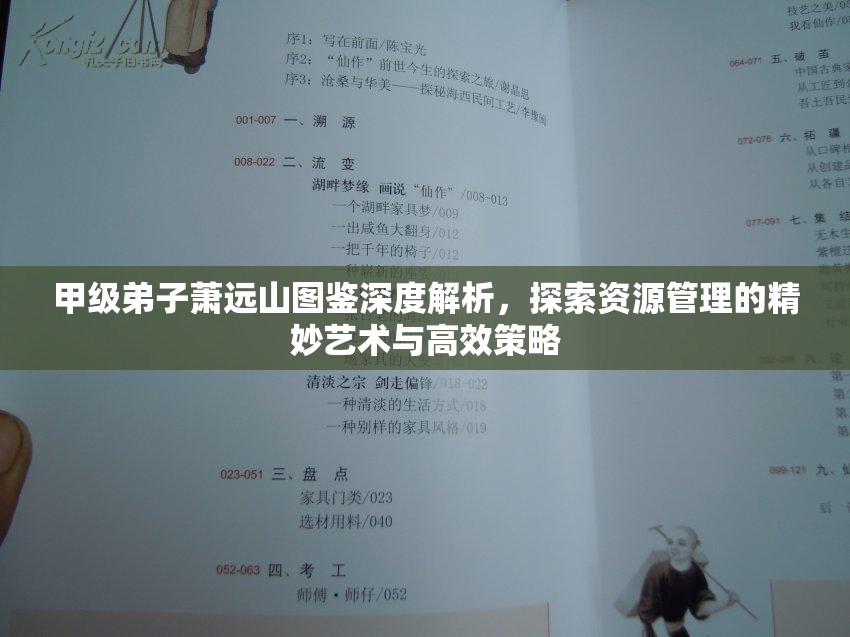 甲级弟子萧远山图鉴深度解析，探索资源管理的精妙艺术与高效策略