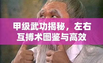 甲级武功揭秘，左右互搏术图鉴与高效资源管理的艺术与策略解析