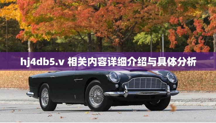 hj4db5.v 相关内容详细介绍与具体分析