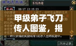 甲级弟子飞刀传人图鉴，揭秘资源管理中的独特瑰宝与传承之道