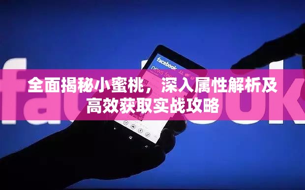 全面揭秘小蜜桃，深入属性解析及高效获取实战攻略