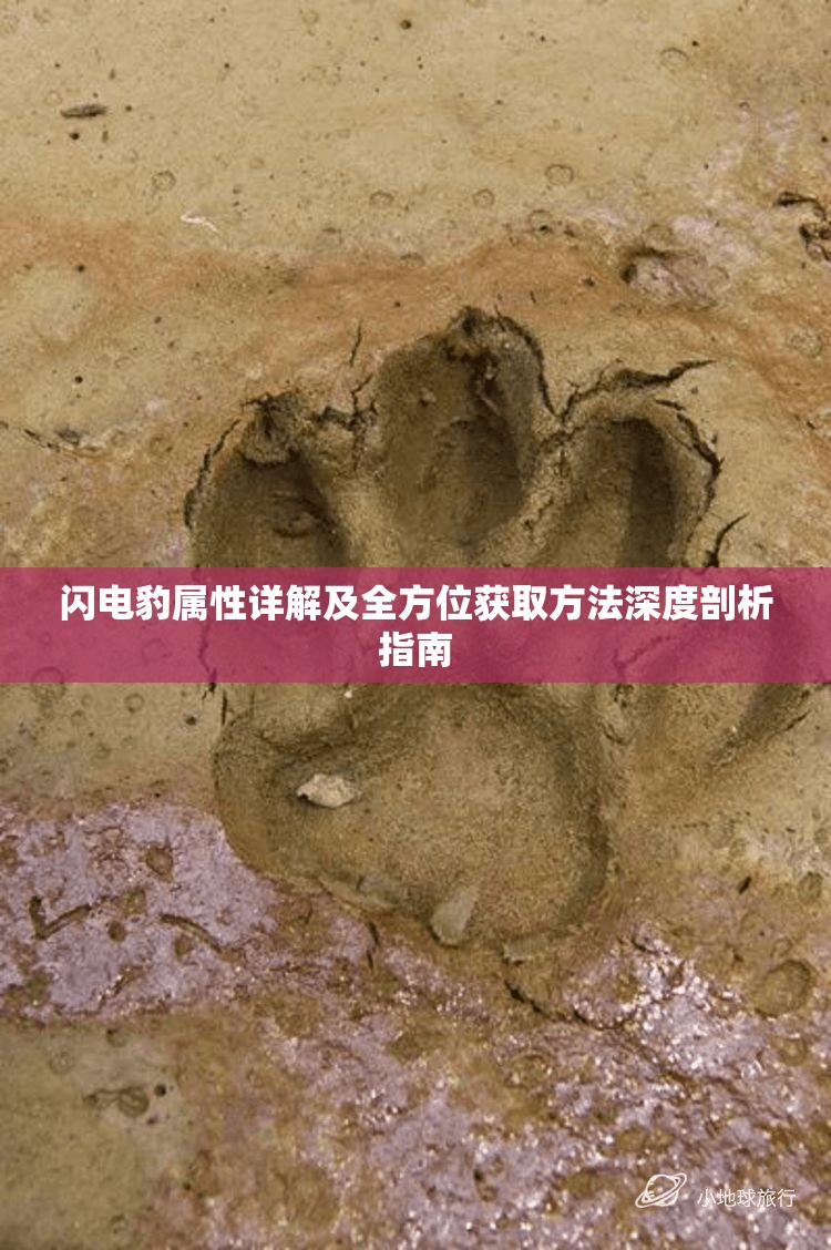 闪电豹属性详解及全方位获取方法深度剖析指南