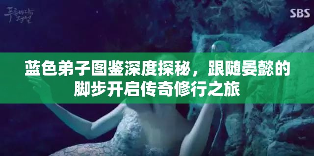 蓝色弟子图鉴深度探秘，跟随晏懿的脚步开启传奇修行之旅