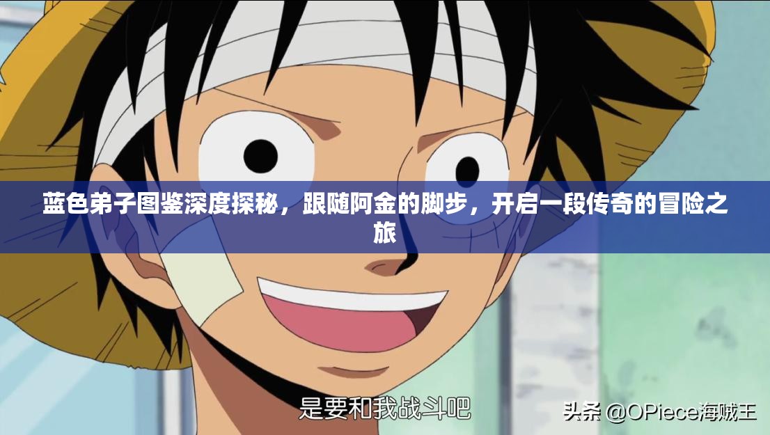 蓝色弟子图鉴深度探秘，跟随阿金的脚步，开启一段传奇的冒险之旅