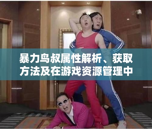 暴力鸟叔属性解析、获取方法及在游戏资源管理中的重要性与高效利用策略