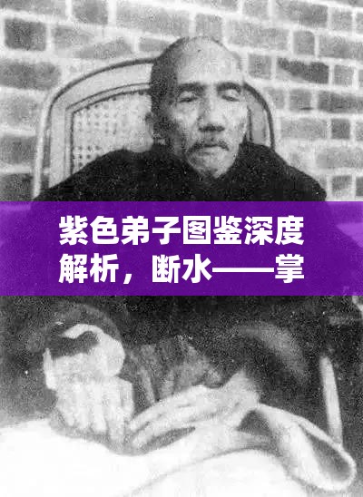 紫色弟子图鉴深度解析，断水——掌握资源管理的精妙艺术与策略