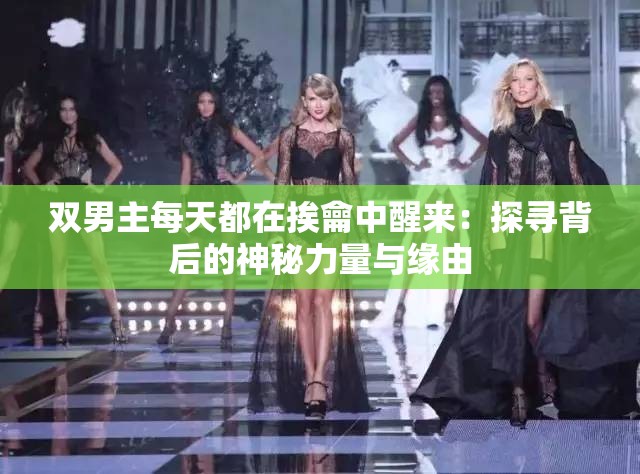 双男主每天都在挨龠中醒来：探寻背后的神秘力量与缘由