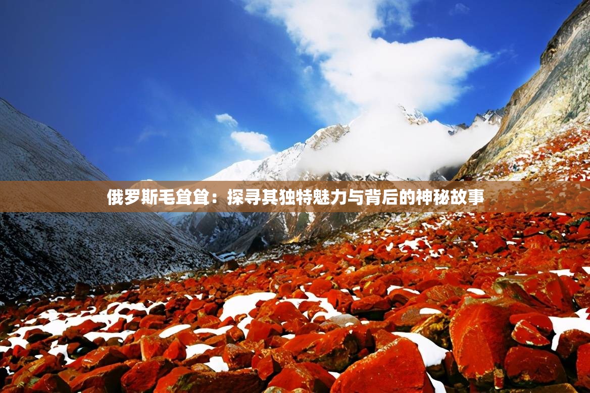 俄罗斯毛耸耸：探寻其独特魅力与背后的神秘故事