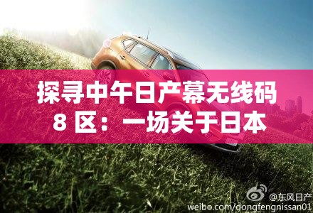 探寻中午日产幕无线码 8 区：一场关于日本成人内容的神秘之旅
