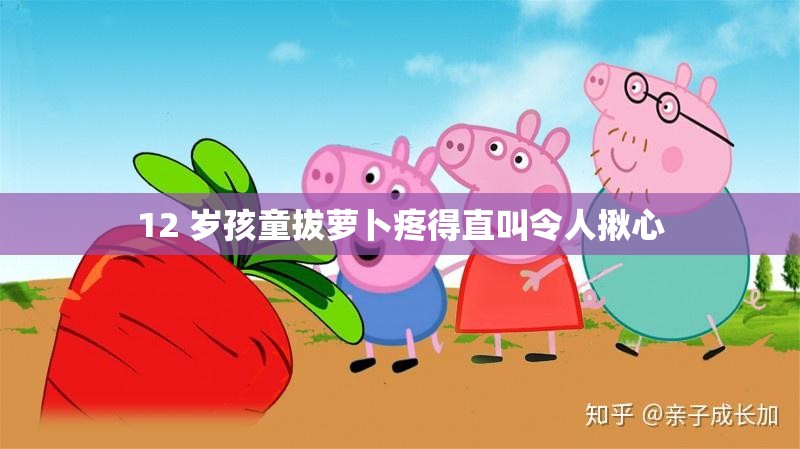 12 岁孩童拔萝卜疼得直叫令人揪心