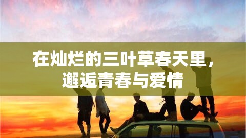 在灿烂的三叶草春天里，邂逅青春与爱情
