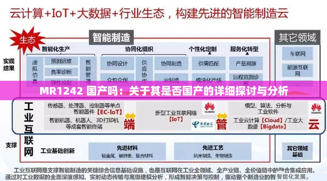 MR1242 国产吗：关于其是否国产的详细探讨与分析