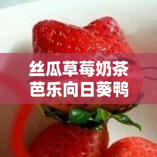 丝瓜草莓奶茶芭乐向日葵鸭脖的奇妙组合与独特风味