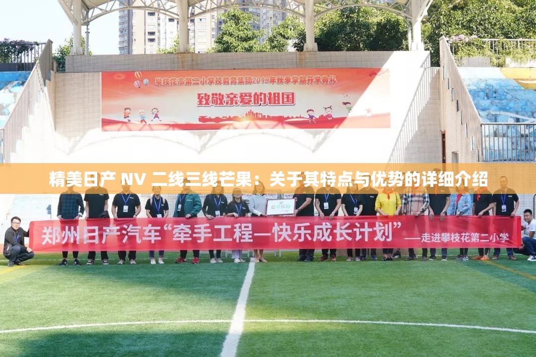 精美日产 NV 二线三线芒果：关于其特点与优势的详细介绍