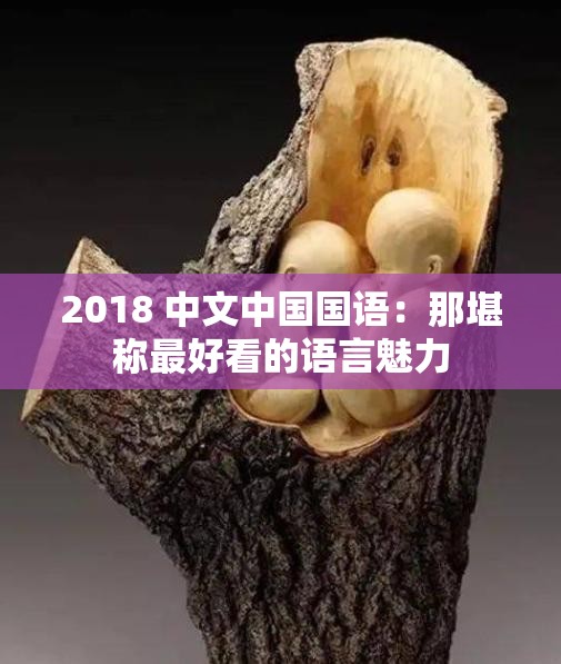 2018 中文中国国语：那堪称最好看的语言魅力