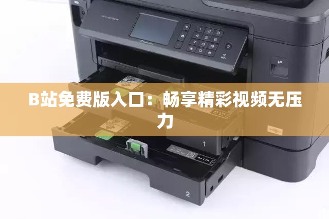 B站免费版入口：畅享精彩视频无压力