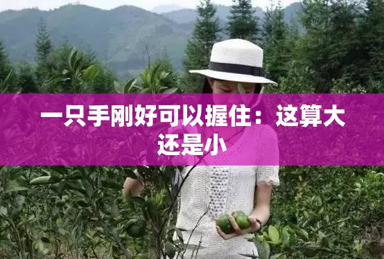 一只手刚好可以握住：这算大还是小
