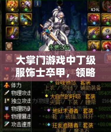 大掌门游戏中丁级服饰士卒甲，领略穿越千年历史沉淀的战甲独特风采