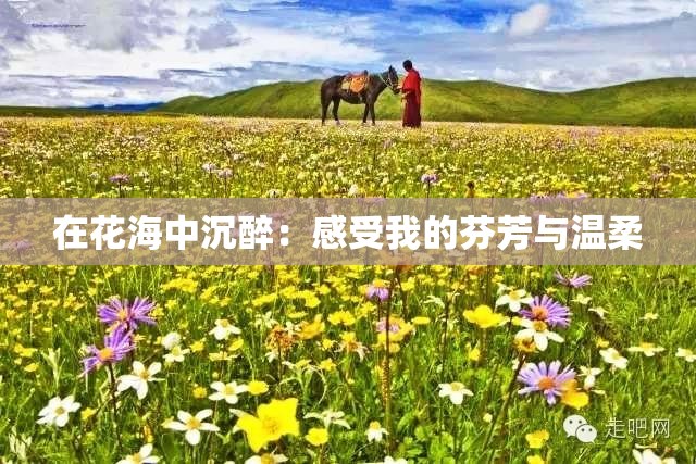 在花海中沉醉：感受我的芬芳与温柔