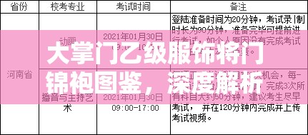 大掌门乙级服饰将门锦袍图鉴，深度解析资源管理的艺术与策略