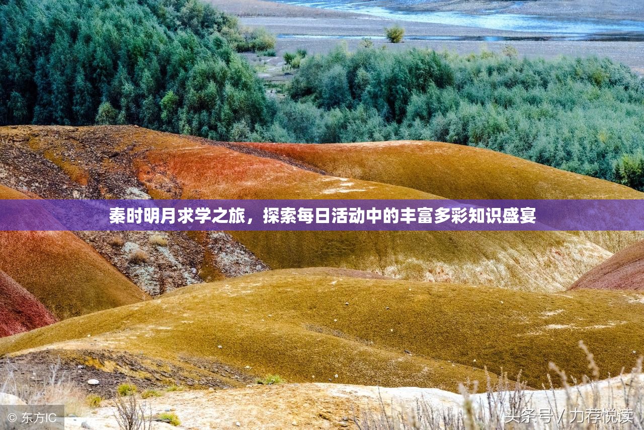 秦时明月求学之旅，探索每日活动中的丰富多彩知识盛宴