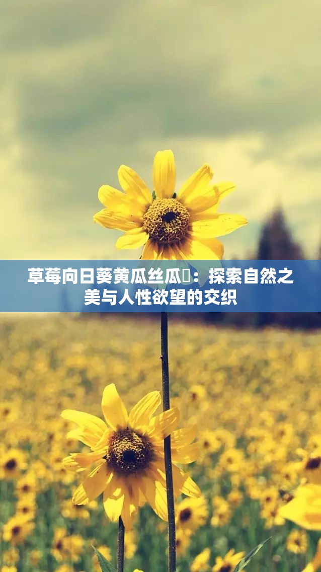 草莓向日葵黄瓜丝瓜汅：探索自然之美与人性欲望的交织