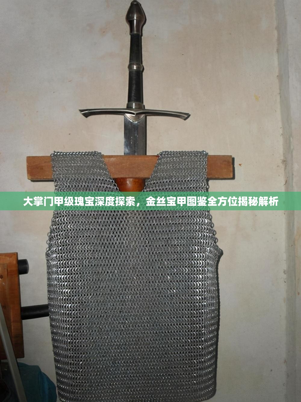 大掌门甲级瑰宝深度探索，金丝宝甲图鉴全方位揭秘解析