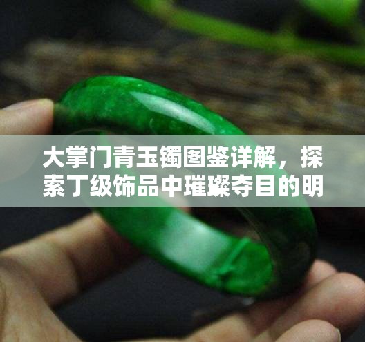 大掌门青玉镯图鉴详解，探索丁级饰品中璀璨夺目的明珠