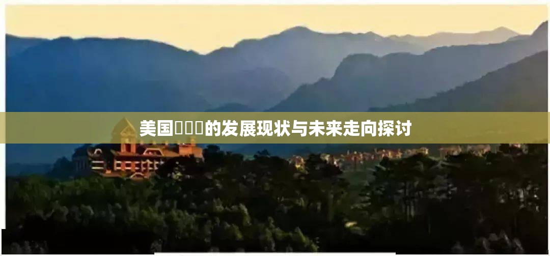 美国乄乄乄的发展现状与未来走向探讨