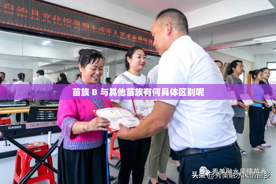 苗族 B 与其他苗族有何具体区别呢