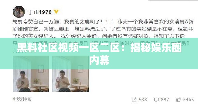 黑料社区视频一区二区：揭秘娱乐圈内幕