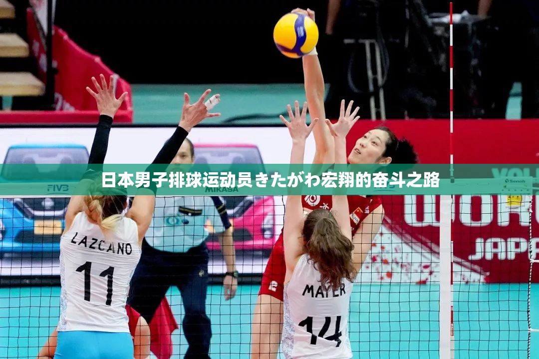 日本男子排球运动员きたがわ宏翔的奋斗之路