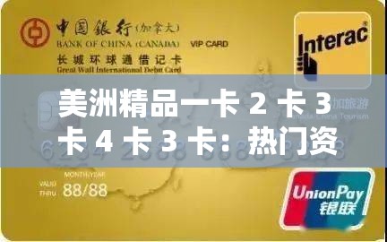 美洲精品一卡 2 卡 3 卡 4 卡 3 卡：热门资源推荐，满足你的各种需求