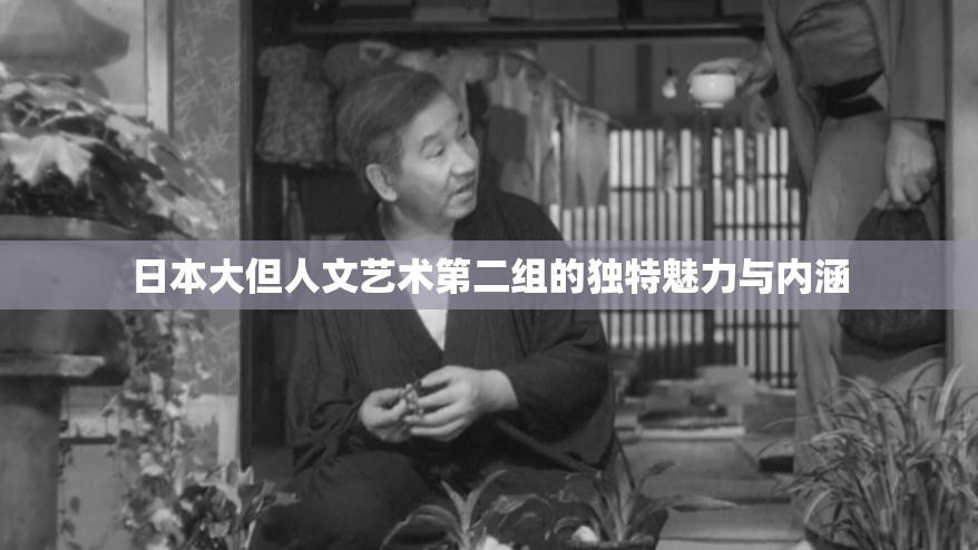 日本大但人文艺术第二组的独特魅力与内涵